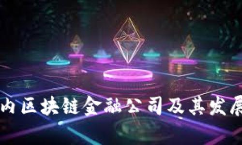 Title: 国内区块链金融公司及其发展现状分析