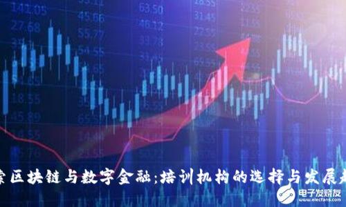探索区块链与数字金融：培训机构的选择与发展趋势