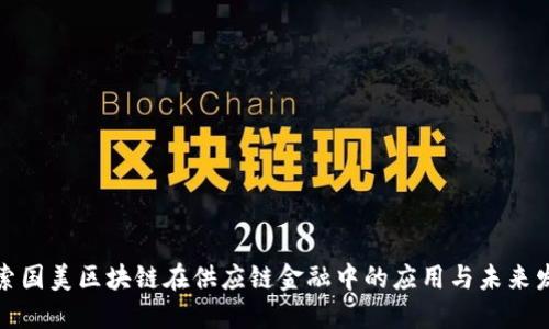 探索国美区块链在供应链金融中的应用与未来发展