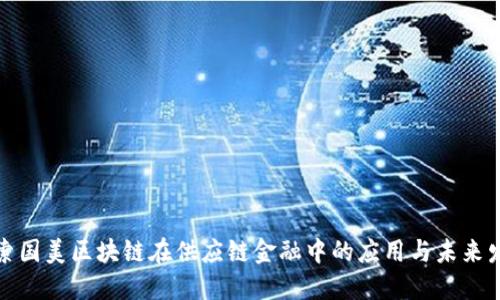 探索国美区块链在供应链金融中的应用与未来发展