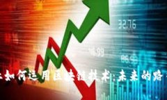 金融行业如何运用区块链技术：未来的路径与挑