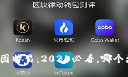 路欧锋与固特易：2025必看，哪个更适合你？