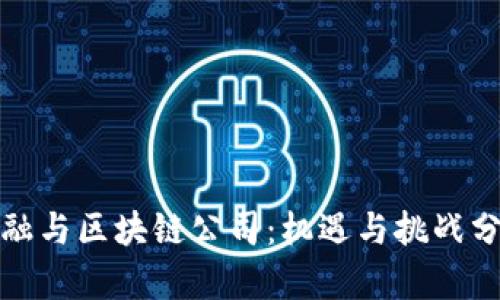 金融与区块链公司：机遇与挑战分析