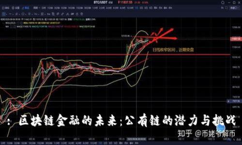 : 区块链金融的未来：公有链的潜力与挑战