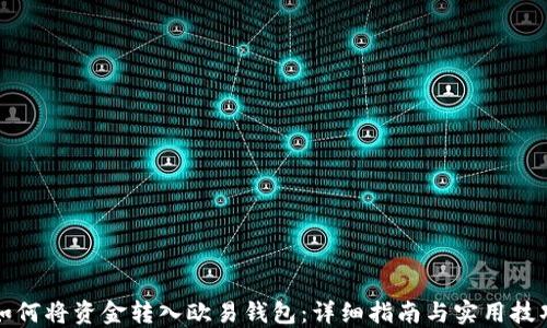 
如何将资金转入欧易钱包：详细指南与实用技巧