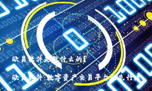 欧易软件是做什么的？

欧易软件：数字资产交易平台的先行者